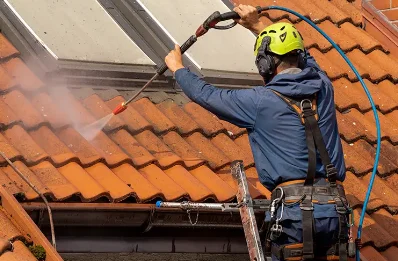 Démoussage et hydrofuge de toiture à Grigny